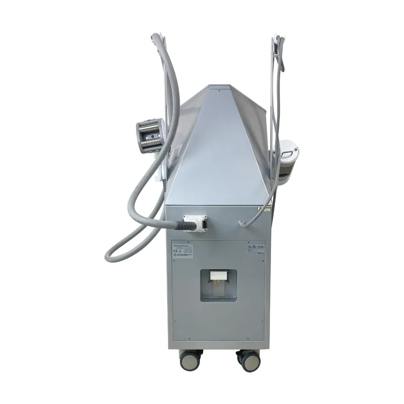 FS-10G Actual rear side view